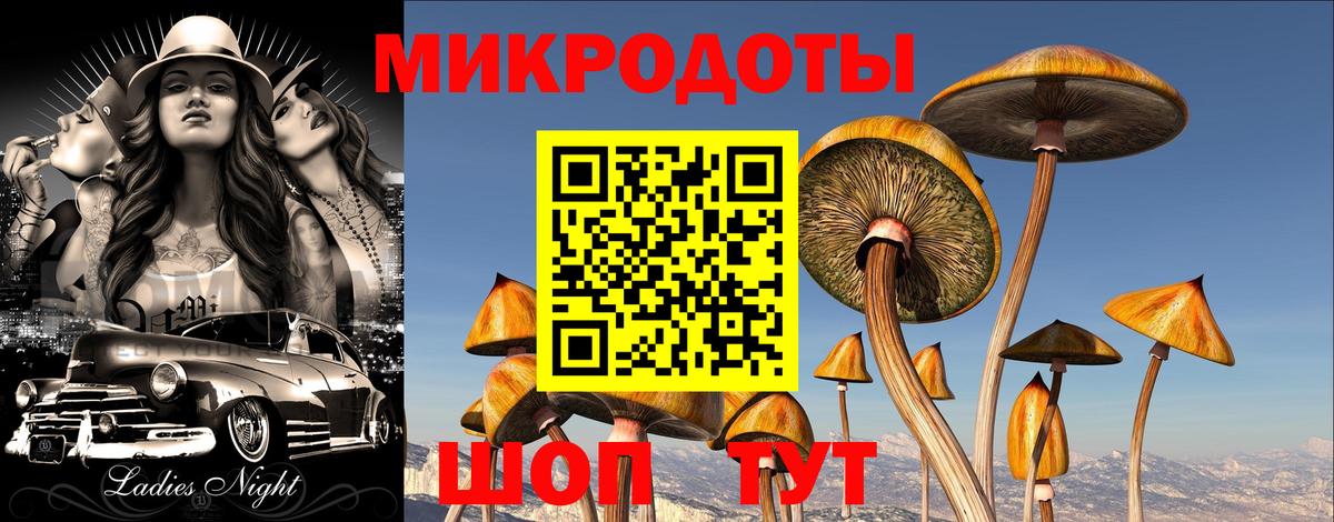 Нижнекамск  Псилоцибиновые грибы ЛСД  Вход с VPN 